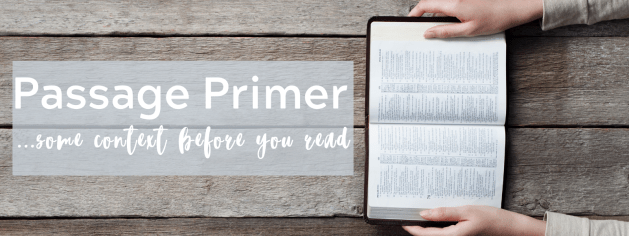 Passage primer narrow